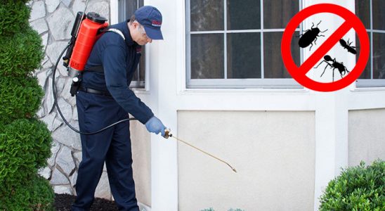 Keban Böcek İlaçlama böcek ilaçlama ve haşere kontrolü — ilaclama-tr.com